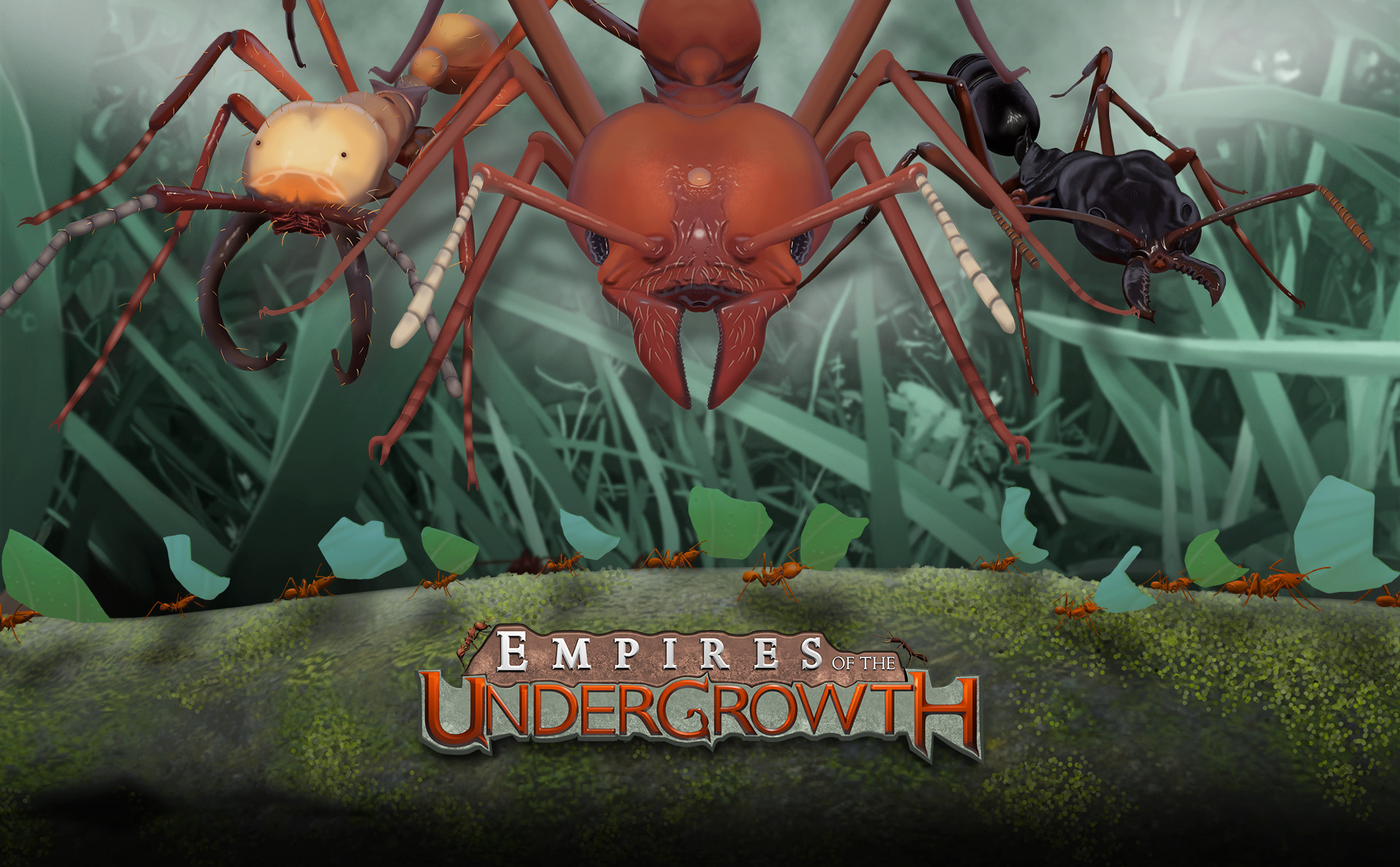 empires of the undergrowth review